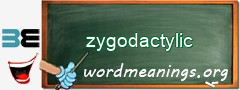 WordMeaning blackboard for zygodactylic